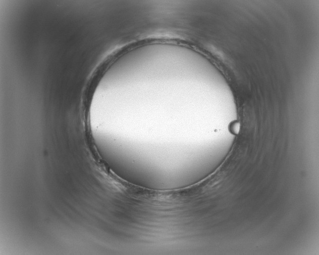 X0000071951408200607212214