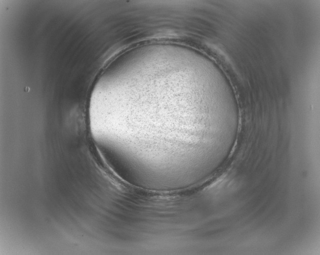 X0000071951409200607212214