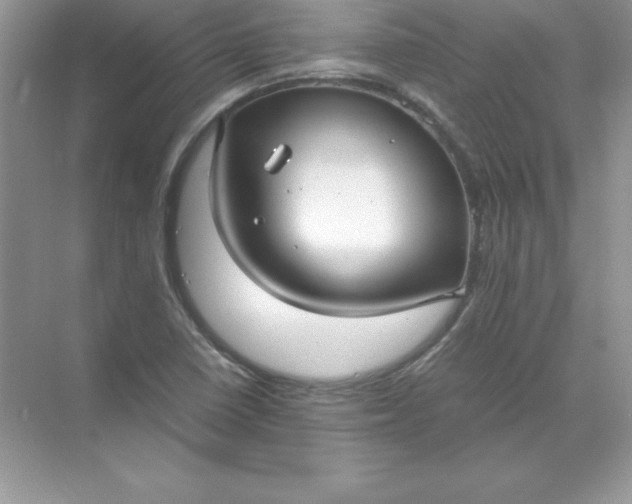 X0000071951410200607212214