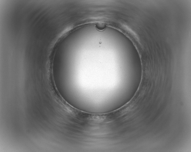 X0000071951411200607212214