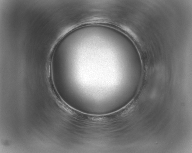 X0000071951413200607212214