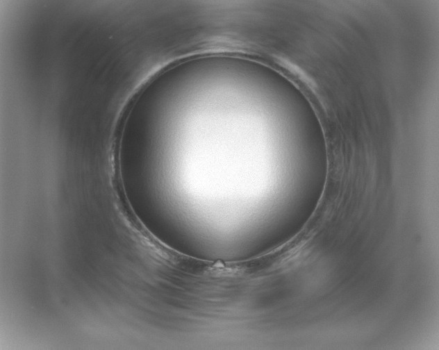 X0000071951415200607212214