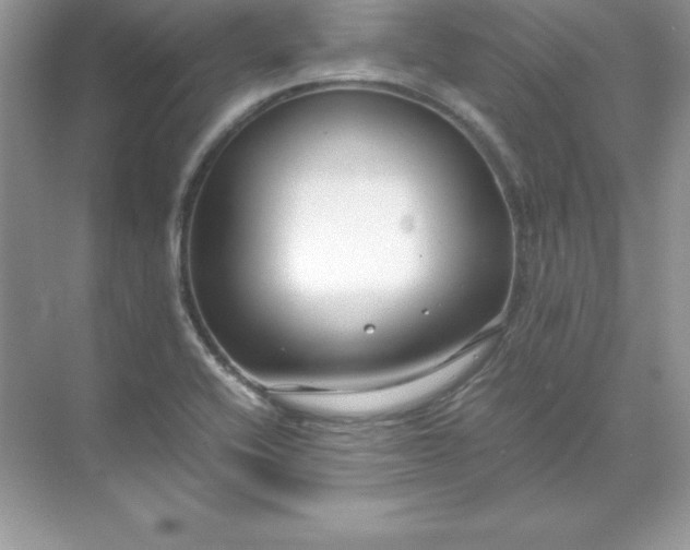 X0000071951416200607212214