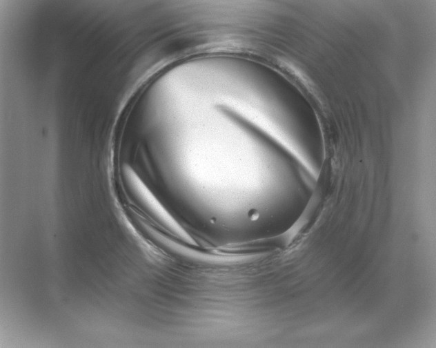 X0000071951418200607212215