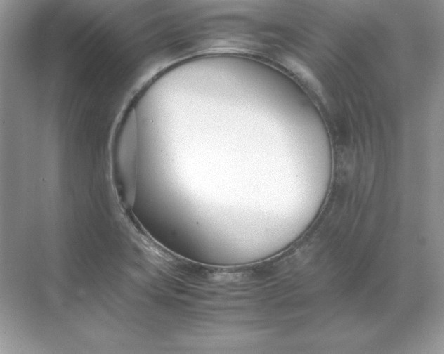 X0000071951419200607212215