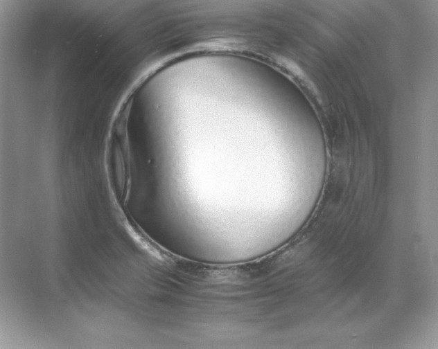 X0000071951421200607212215