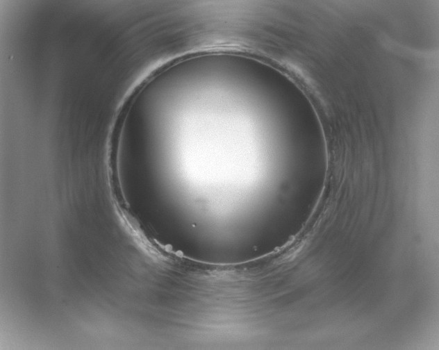 X0000071951422200607212215