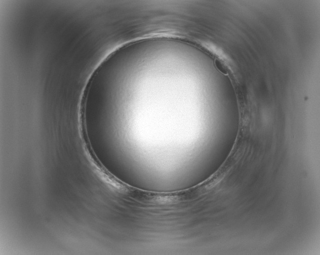 X0000071951423200607212215