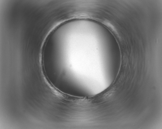 X0000071951424200607212215