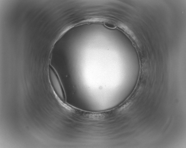 X0000071951425200607212215