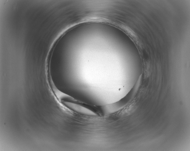 X0000071951430200607212215