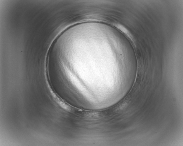 X0000071951431200607212215