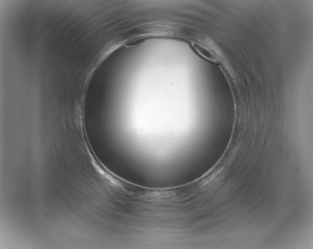 X0000071951433200607212215