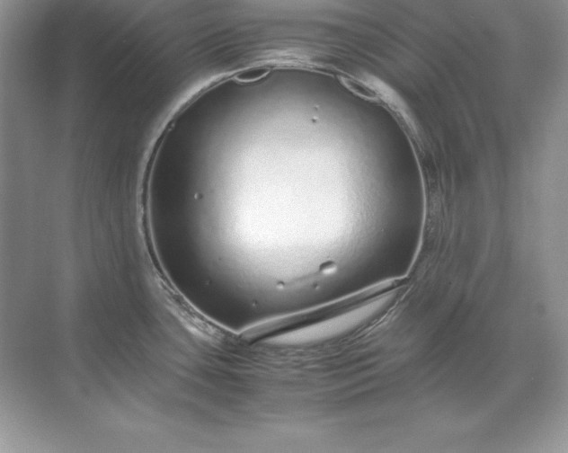 X0000071951435200607212215