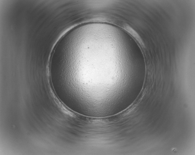 X0000071951436200607212215