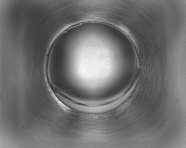 X0000071951438200607212215