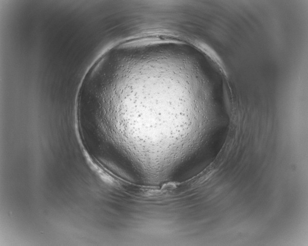 X0000071951439200607212215