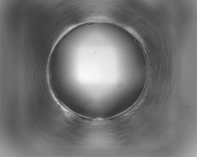 X0000071951440200607212215