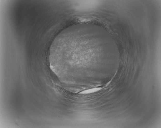 X0000071951441200607212214