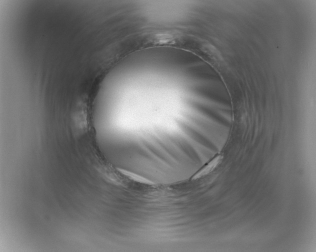 X0000071951442200607212214