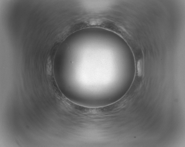 X0000071951443200607212214