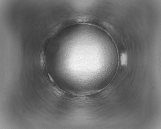 X0000071951444200607212214