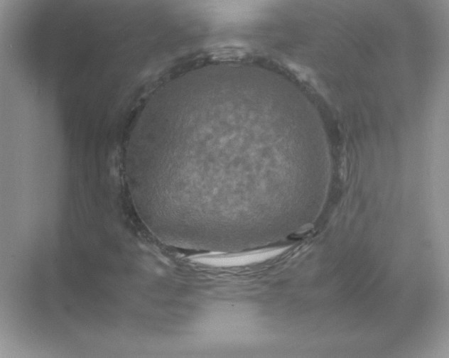 X0000071951445200607212214