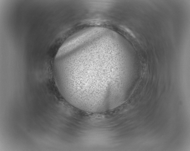 X0000071951446200607212214