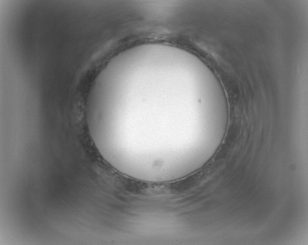 X0000071951447200607212214