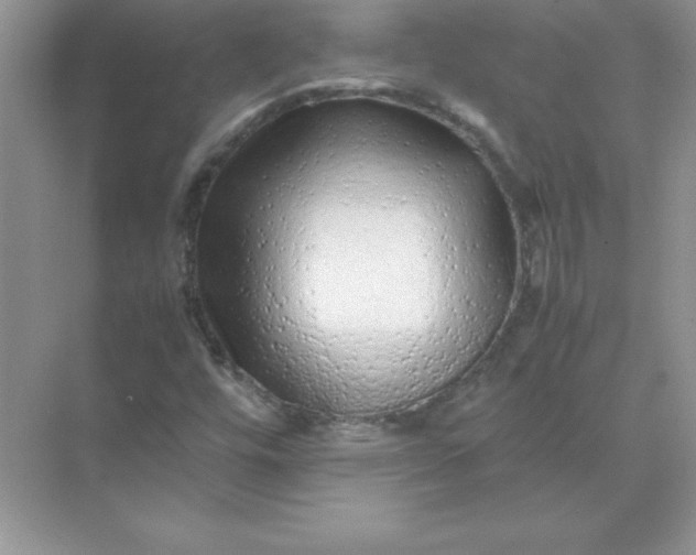 X0000071951448200607212214