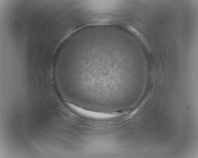 X0000071951449200607212214