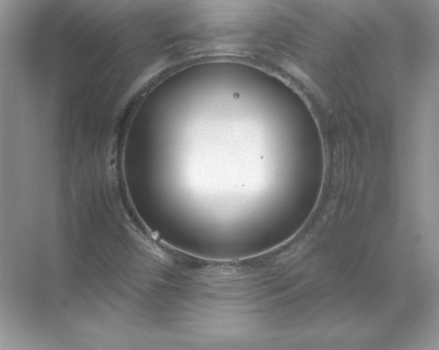 X0000071951450200607212214