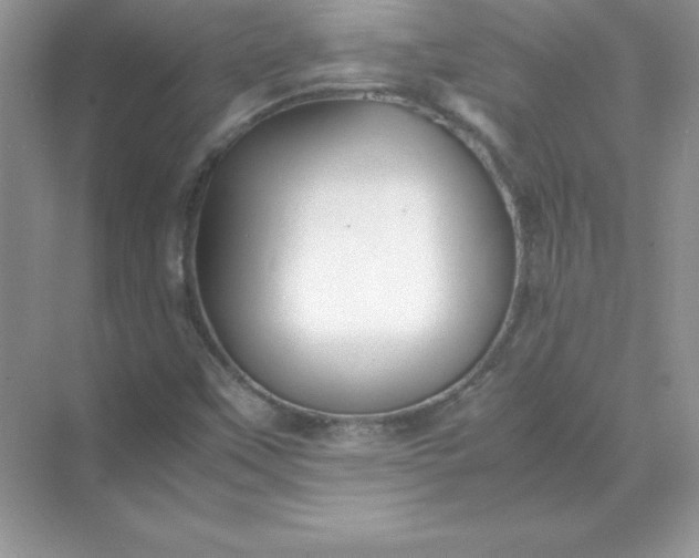 X0000071951451200607212214