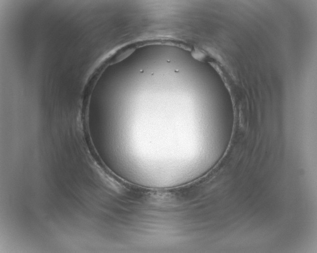 X0000071951452200607212214