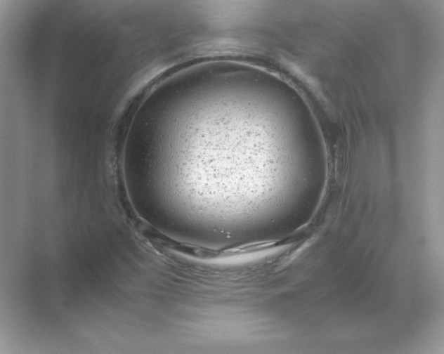 X0000071951453200607212214