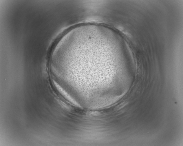 X0000071951454200607212214