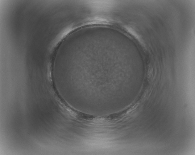 X0000071951455200607212214