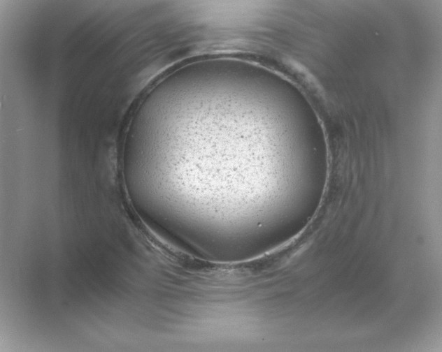 X0000071951457200607212214