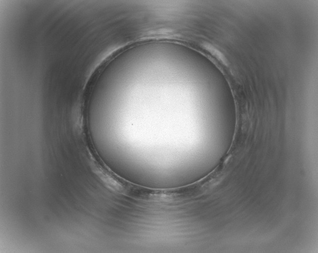 X0000071951458200607212214