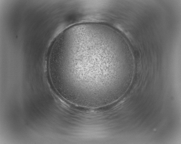 X0000071951459200607212214