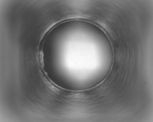 X0000071951460200607212214