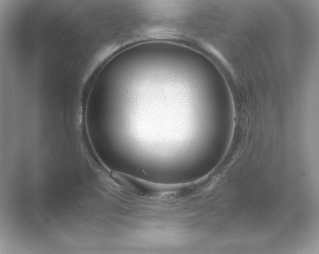 X0000071951461200607212214