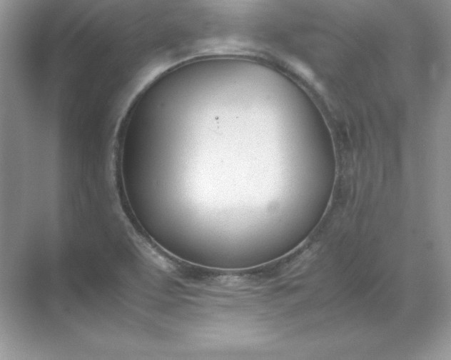 X0000071951463200607212214