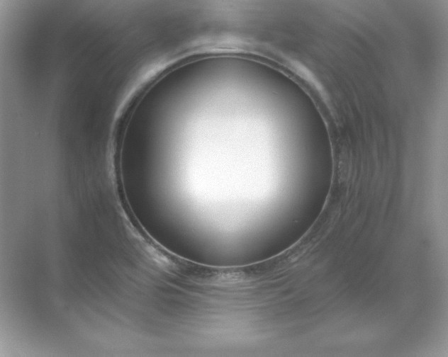 X0000071951464200607212214