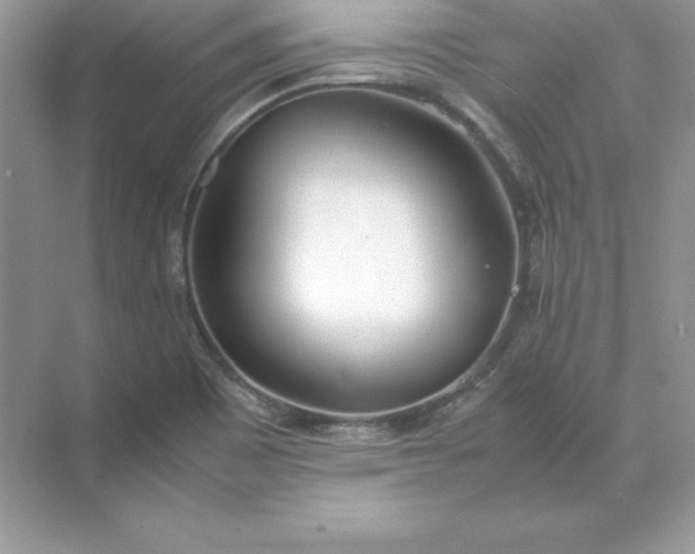 X0000071951465200607212214