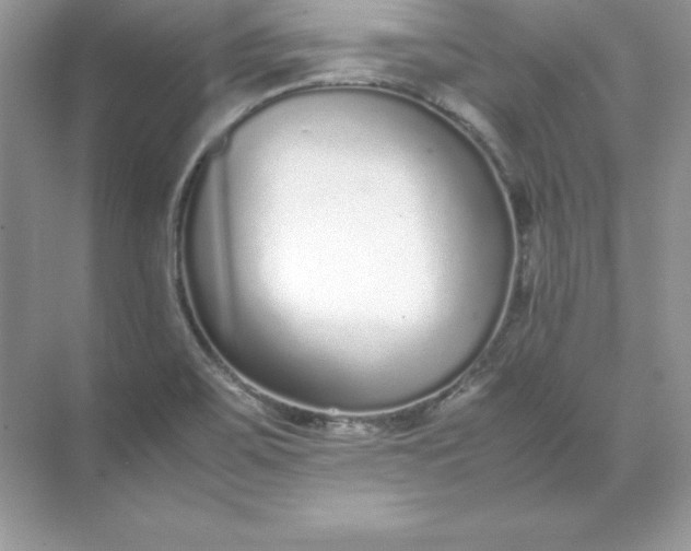 X0000071951467200607212214