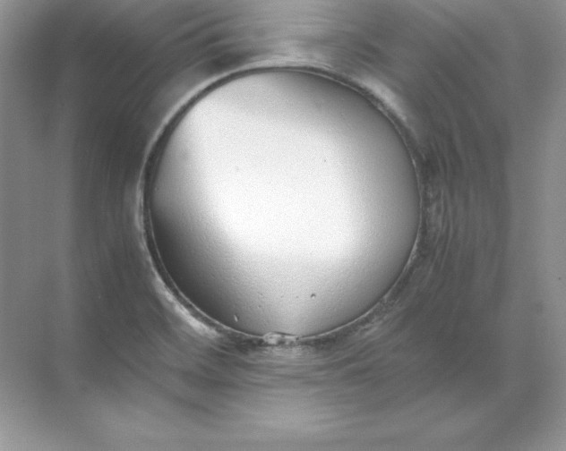 X0000071951468200607212214