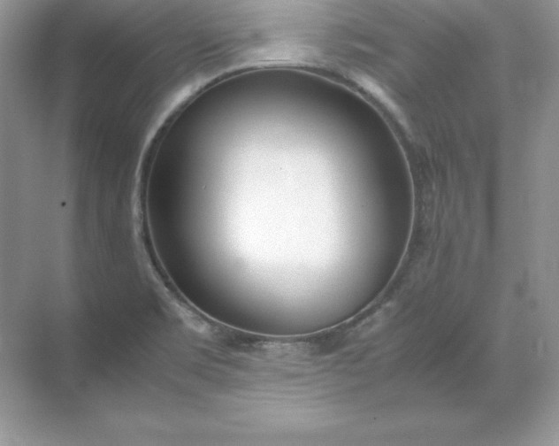 X0000071951469200607212214