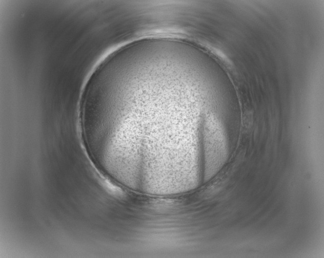 X0000071951470200607212214