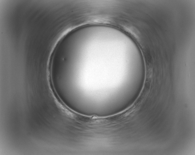 X0000071951471200607212214